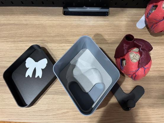 The gift box is open.  The lid is lying upside down beside it.  The anatomical heart and its stand are also beside it.  Inside the box is an insert that has cutouts to match the heart and stand.