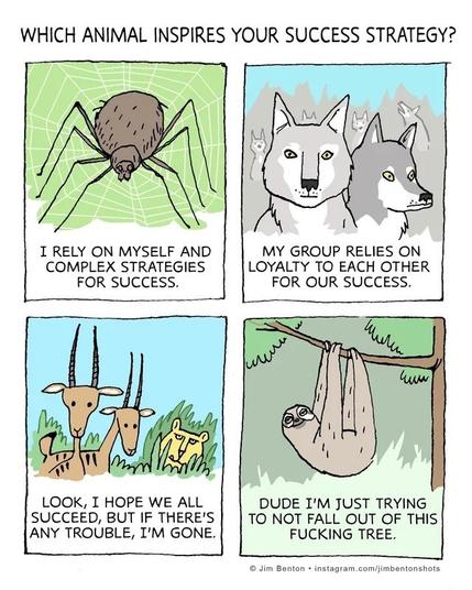 A four-pane cartoon featuring different animals.
Heading reads: “Which animal inspires your success strategy?”
Panel one shows a cartoon spider with the caption “I rely on myself and complex strategies for success”
Panel two shows a pack of wolves: “My group relies on loyalty to each other for our success”
Panel three shows a herd of gazelles with a lion hiding in the bushes nearby: “Look, I hope we all make it, but if there’s any trouble I’m gone”
Panel four shows a sloth hanging upside down from a tree limb: “Dude, I’m just trying not to fall out of this fucking tree”
Image credit: Jim Benson/Instagram