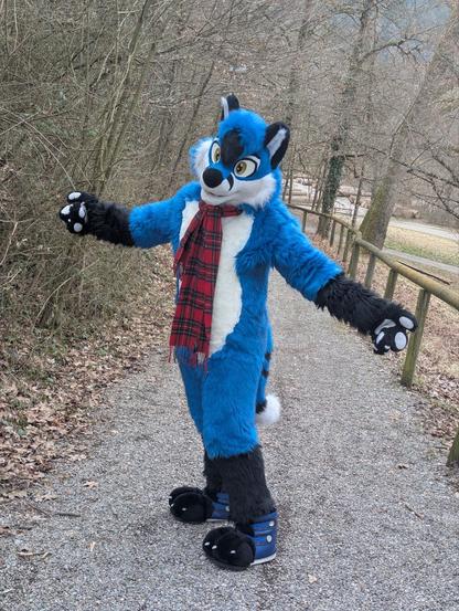 Blujay on a gravel path by a forest, wearing a red scarf and with arms outstretched