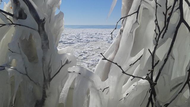 Winter photo of Lake Huron from Canada. blue sky, blue water, ice flowing all framed by ice covered branches.