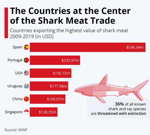 Graph of countries at centre if shark fin trade:
1. spain
2. Portugal
3. uSA
4. Urguay
5. China
6. Singapore