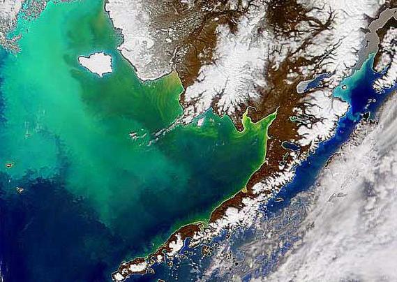 image/jpeg vibrant varied colours of green are seen in the ocean off the coast of Alaska in this satellite image. NASA. Public domain.