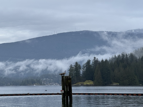 Morning view from Barnet Marine Park in Burnaby, BC. Looking across the ocean at a mountain covered with trees. There are low clouds. There are wood pylons sticking out of the water. A pair of Canada geese are standing on the wood pylons.