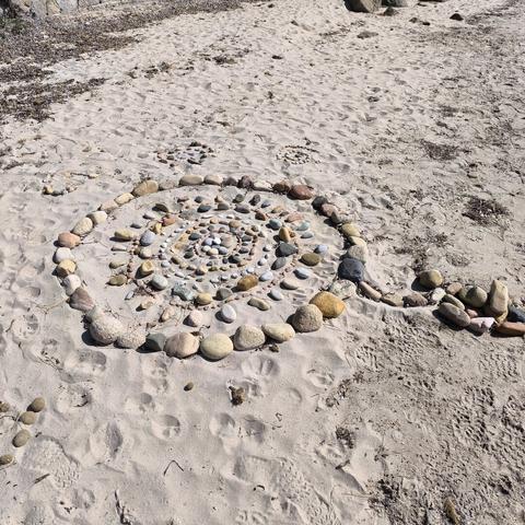 Fleur de galets sur sable blanc