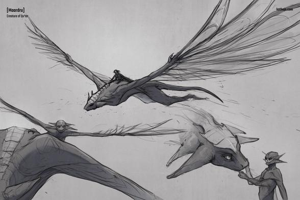 Digital sketches of a flying creature, called Maardru, with its rider, a Nan-Te'gah. The first sketch shows both the creature and its rider while flying. The second sketch shows a close-up of the rider in front view while they spread their own wings and lift off the creature's back. The third sketch shows the creature's head and the rider next to it, touching its snout affectionately.