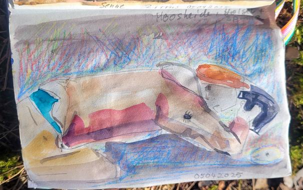 Aquarellskizze: Person mit Kappe liegt fast auf dem Boden, stützt sich mit dem Ellbogen abund schaut durch ein Gerät. Am Oberarm krabbelt eine große schwarze Spinne.