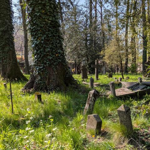 Antico cimitero di Viggiù