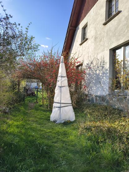 Vor einem Hausgiebel steht eine pyramidenförmige Konstruktion, die mit einem weißen Vlies umwickelt ist.