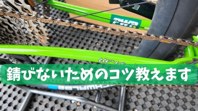 放置してごめん…！2週間雨ざらしにしたSURLYをメンテナンス！錆びないためのコツ教えます