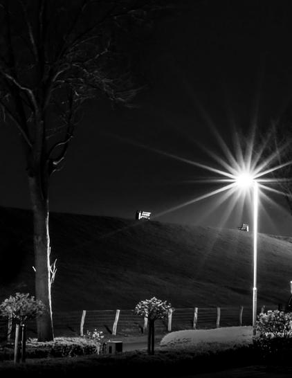 This is a black and white photograph depicting a nighttime scene with strong contrasts of light and shadow. A bright streetlight shines prominently in the center right, creating a starry effect and illuminating the surrounding area. The light casts a glow across a grassy dyke. Two empty benches can be seen on the dyke in the distance. In the foreground, a paved sidewalk, a low fence, and several small bushes run parallel to the dyke. To the left of the image is a large tree with its bare branches reaching upwards. The overall mood is solitary and pensive, enhanced by the strong contrast and lack of color.