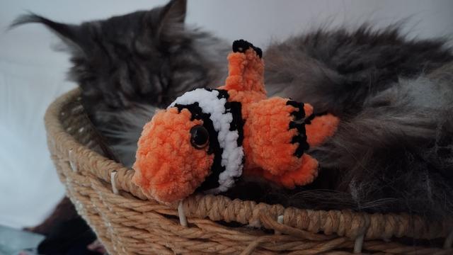 Un poisson rouge au crochet. Il est posé au bord d'un panier. Dans le panier, une maine coon qui dort paisiblement