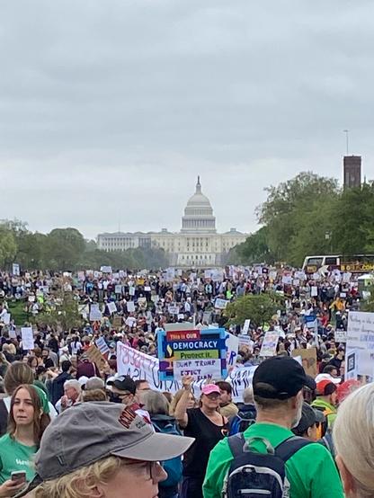 Photo of a large crowd with the US Capitol in the background.