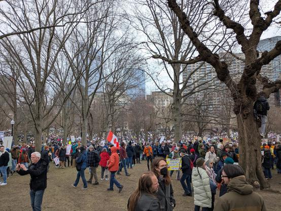 A crowd of protesters on Boston Common, with many carrying signs and flags.