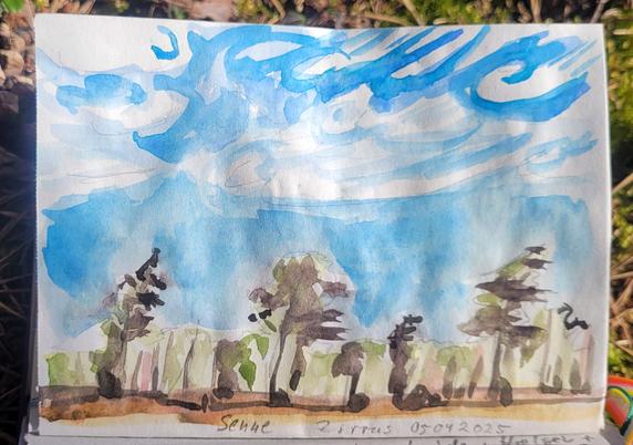 Aquarellskizze,  sehr sketchy: viel blauer Himmel mit weißen Wolkenschlieren und Kringeln. Unten Kiefern.