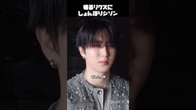 ⁂フィリックスになだめられるハン