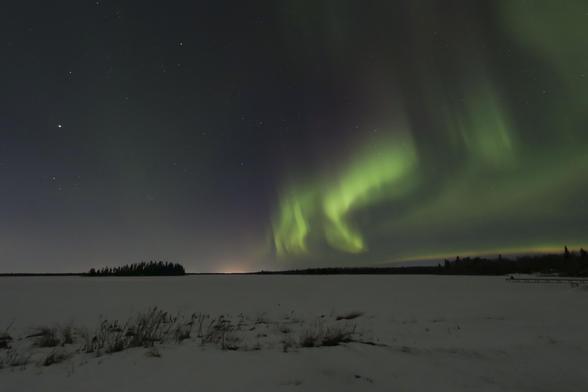 Green aurora borealis ripples in the sky. Underneath, a cluster of trees on an island in the middle of Astotin Lake are silhouetted against the clear and starry sky. The lake is still frozen, creating a snow-covered foreground, with a few grasses peeking through to remind us it's actually spring.