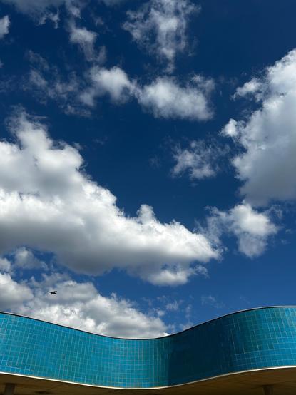 a nice photography describing the freedom with flying birds over a blue sky and an wave architecture.