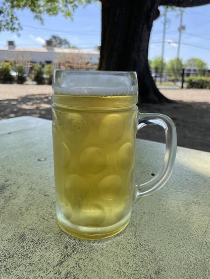 a light beer in a stein on a table. there's a huge tree trunk in the background.