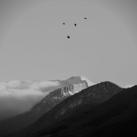 Photo noir et blanc d'un paysage de montagne. Une montagne enneigée aux hautes falaises est entourée de nuages.
Au premier plan, d'autres montagnes sans neiges sont hérissées d'arbres nus.
Dans le ciel, une volée de corneilles.