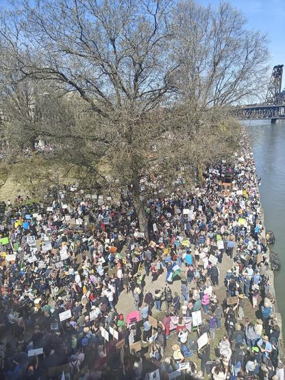 The protest at the waterfront in Portland, right now