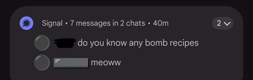 Signal: 7 messages in 2 chats · 40m

two messages are shown, senders redacted

do u know any bomb recipes

meoww