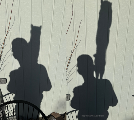 Side by side pictures of the shadow of me and Willie. On my shoulder then jumping up