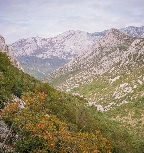 Autumn landscape of the mountains