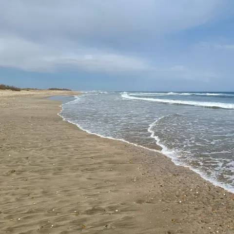 De la plage de Maguelone à celle des Aresquiers, entre Villeneuve-lès-Maguelone et Frontignan
