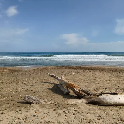 De la plage de Maguelone à celle des Aresquiers, entre Villeneuve-lès-Maguelone et Frontignan