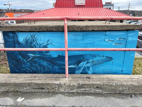Whale mural by Lynda McConnell (visuallythirsty.ca) by the parking lot at Main St & Gordon Ave. A whale swims in the ocean near several fish and ocean grasses, painted on concrete behind the crossbars of a red-painted metal fence.