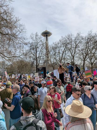 Protesters at the Seattle center with the space needle in the background