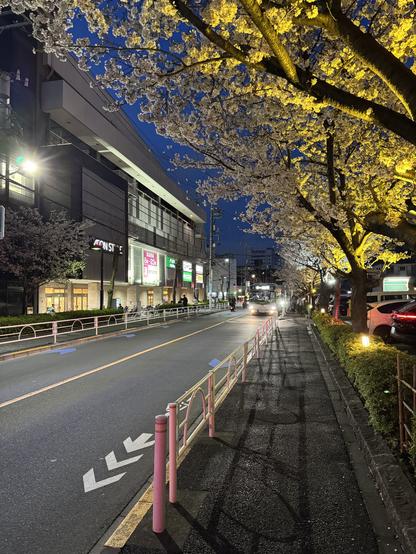 Urban cherry blossoms on an evening in suburban Tokyo, Japan.
