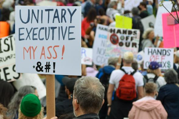 Photo of protest sign, "Unitary Executive my ass!", in a large crowd