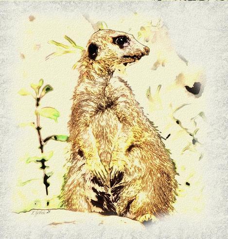 Bearbeites Foto das nun aussieht wie eine Zeichnung: Ein Erdmännchen sitzt aufrecht auf einem Stein und schaut in die Ferne.

Edited photo that now looks like a drawing: A meerkat sits upright on a stone and looks into the distance.