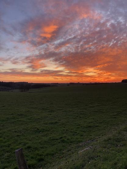 Vue d’un ciel rougeoyant en début de soirée au dessus d’une prairie. Quelques rares nuages apportent de la variété dans les couleurs, allent de l’orange au bleu.