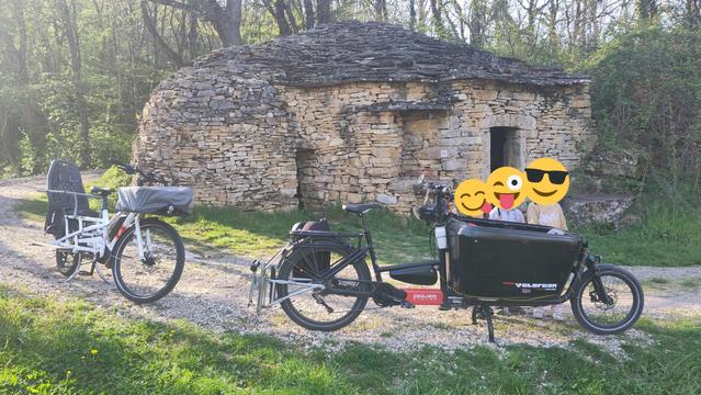 3 enfants posant avec deux vélos cargos familiaux, devant une caborne des Monts d'or