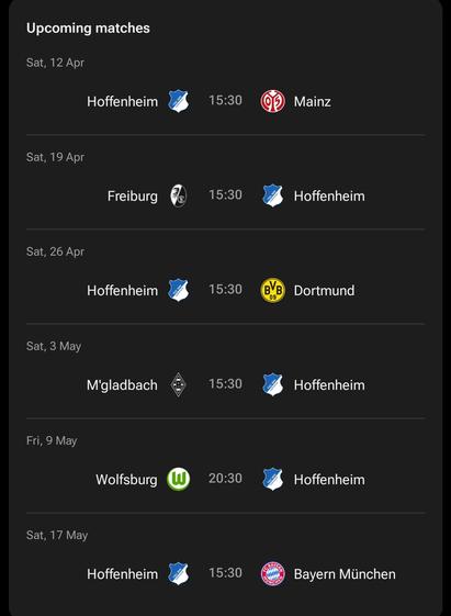 Die restlichen Saisonspiele von Hoffenheim. Gegner: Mainz, Freiburg, Dortmund, Gladbach, Wolfsburg, Bayern.