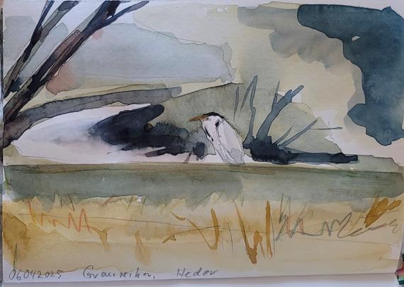 Aquarellskizze im kleinen Skizzenbuch: eine kleine Flussbiegung, über die Böschung schaut ein Graureiher nach links, dort ragen 2 Baumstämme schräg ins Bild. Im Vordergrund trockenes Gras