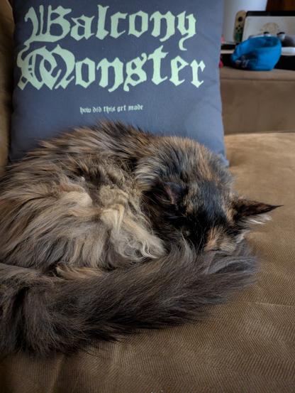 An old tortie cat is all curled up in front of a throw pillow that says Balcony Monster on it from the How Did This Get Made podcast merch collection. She is happily asleep on the couch and didn't even notice the photo being taken.