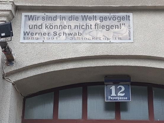 Bild einer Tafel am Haus Payergasse 12 in Wien: "Wir sind in die Welt gevögelt und können nicht fliegen!" Werner Schwab