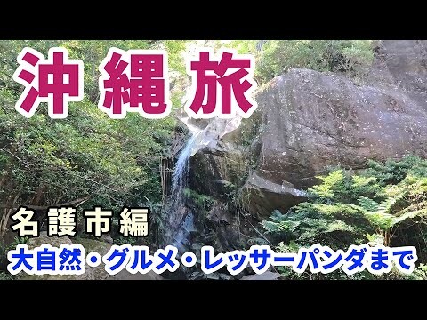 沖縄旅・名護編。大自然のマイナスイオンに癒されて、レッサーパンダそして沖縄で鉄道に乗る