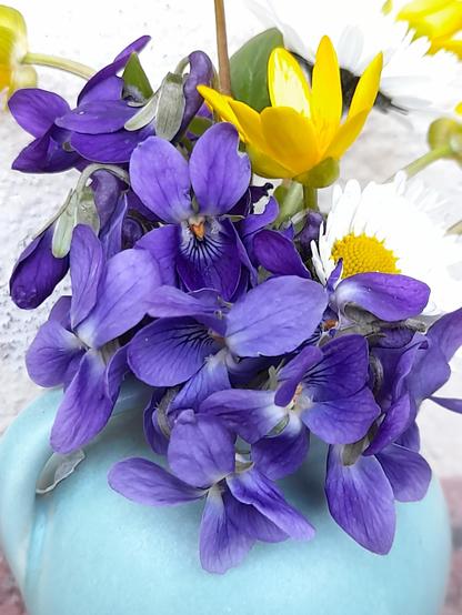 Mini bouquet of the last violets