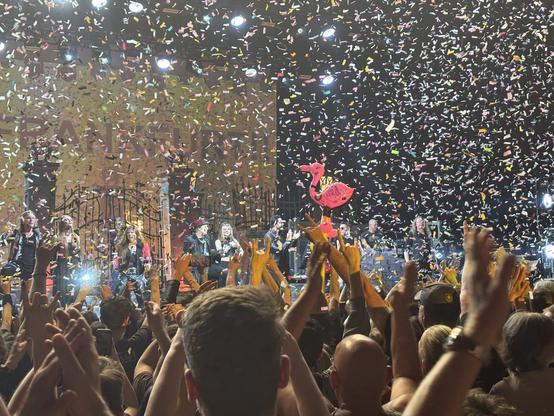 A lively concert scene with performers on stage surrounded by colorful confetti. The audience is engaged, with raised hands and signs of excitement. A large flamingo decoration is also visible on stage.