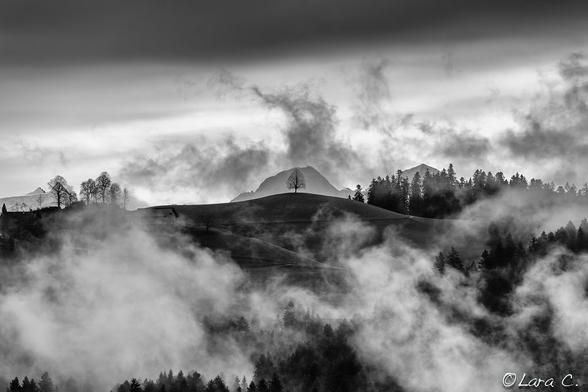 For those of you who enjoy black and white photography, please visit and feel free to join my group <a href="http://www.flickr.com/groups/fabworldinbw/">www.flickr.com/groups/fabworldinbw/</a> where a lot of very talented photographers and artists have kindly allowed me to showcase their extraordinary work.