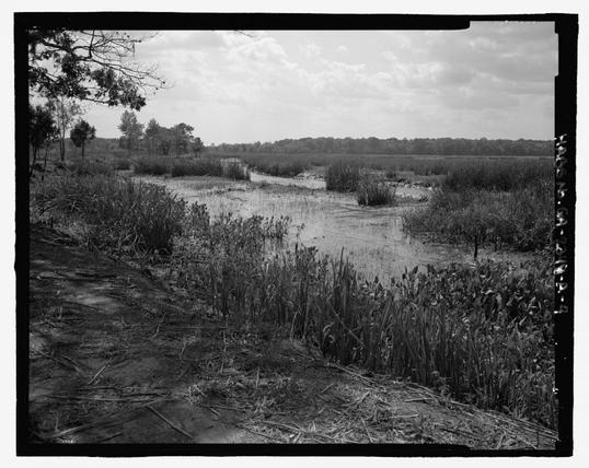 "But who will reveal to our waking ken, The forms that swim and the shapes that creep, Under the waters of sleep?  And I would I could know what swimmeth below when the tide comes in..." The Marshes of Glynn by Sidney Lanier - 1878.  Photo from the Library of Congress.