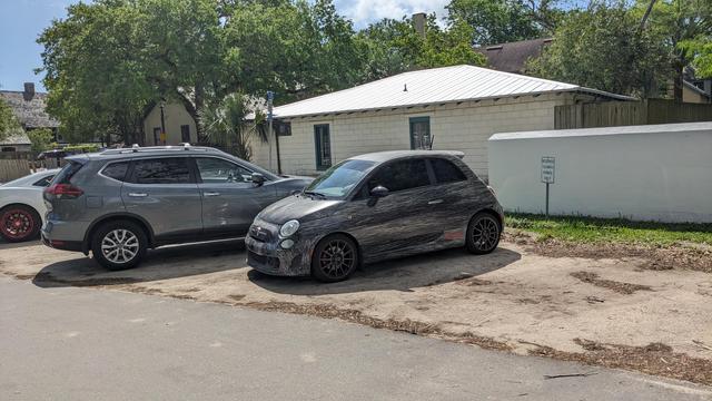 Fiat with a "dog hair" wrap