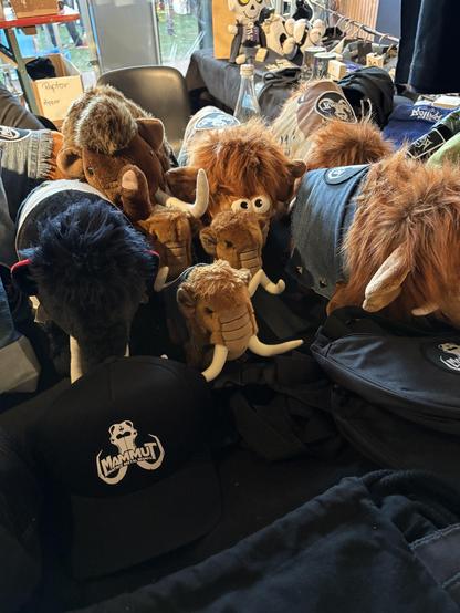Mammut Merch — nur echt mit Kutte!