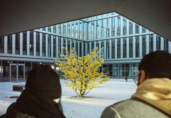 Eine Fotografin und ein Fotograf beobachten einen gelben Strauch.