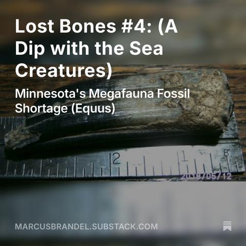 A marketing image with a horse tooth form southern Minnesota