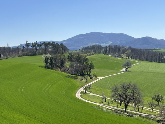 Blick über Wiesen auf die nächste Bergkette